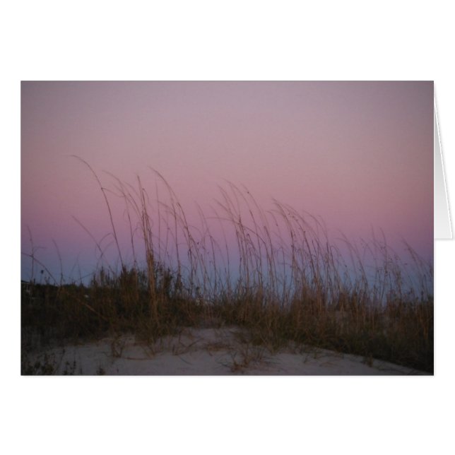 Beauté de la mer à l'île de Sullivan, SC (Devant Horizontal)