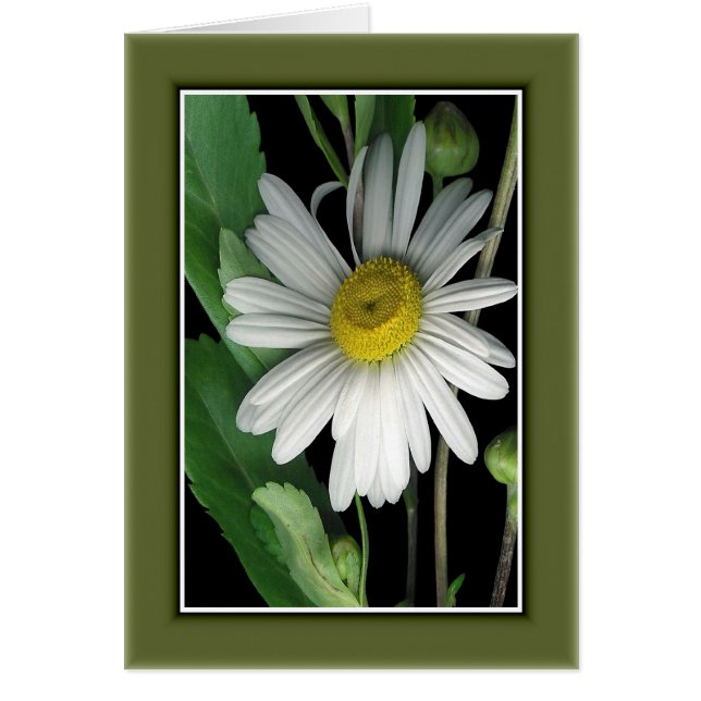 Beauté de la nature r/c17 (Devant)