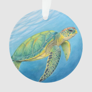 Beauté de la tortue