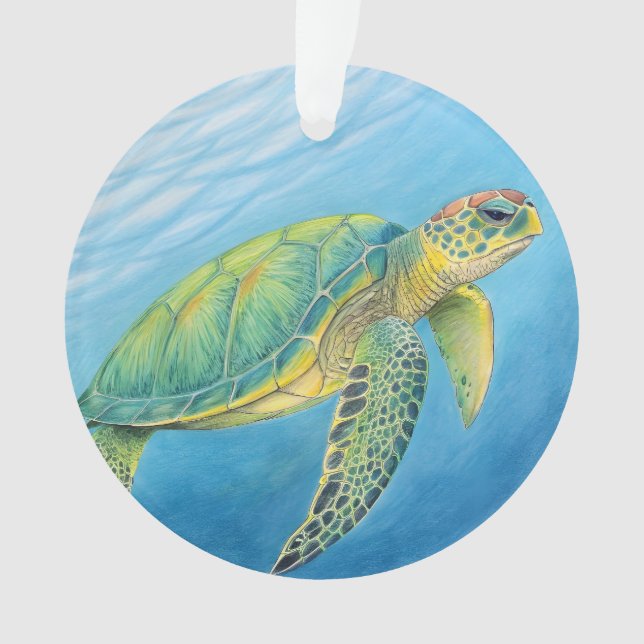 Beauté de la tortue (devant)
