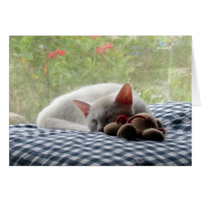 Beauté de sommeil (Devant horizontal)