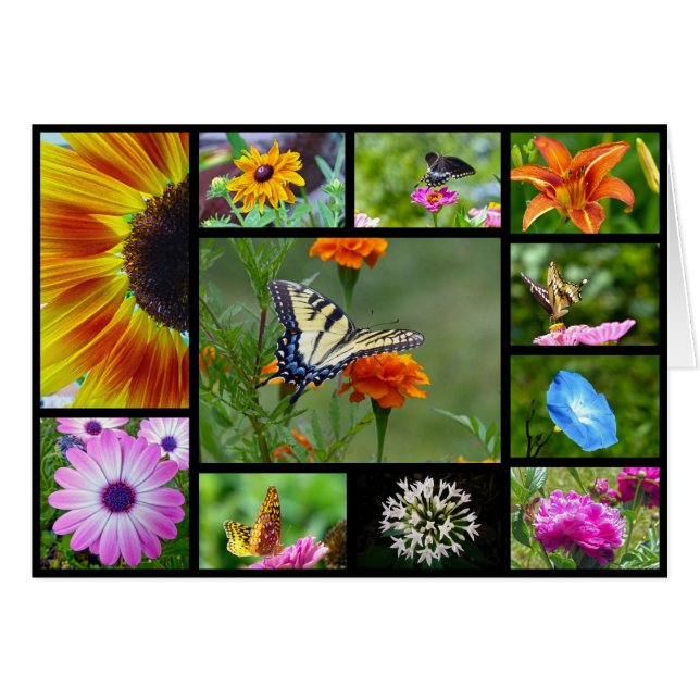 Beauté du printemps (Devant horizontal)