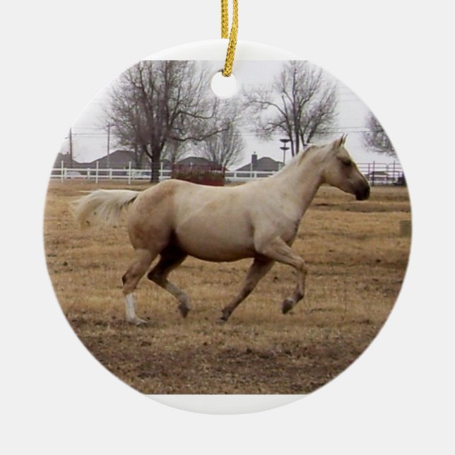 Beauté en mouvement ornement (Devant)