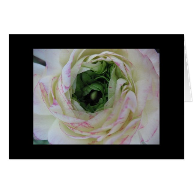 Beauté intérieure (Devant Horizontal)