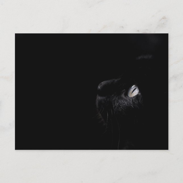 Beauté noire - Carte postale (Devant)