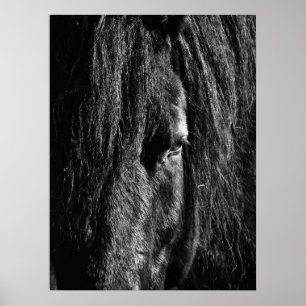 Beauté noire - Poster