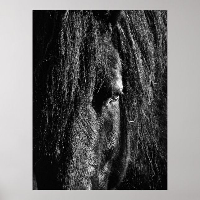 Beauté noire - Poster (Devant)