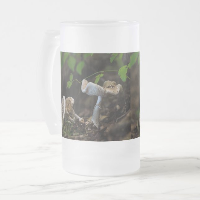 Beauté Poisoneuse Verre Frosted Beer Mug (Devant gauche)