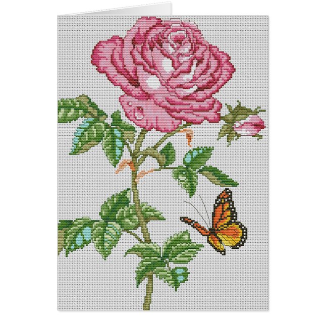 Beauté rose (Devant)