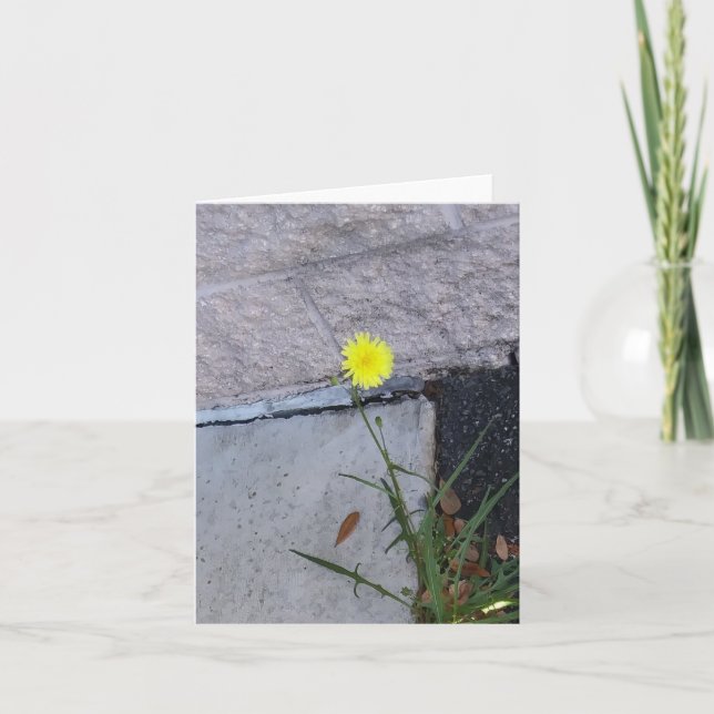 Beauté têtue 2 sur une carte de note (Devant)