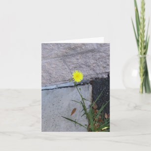 Beauté têtue 2 sur une carte de note