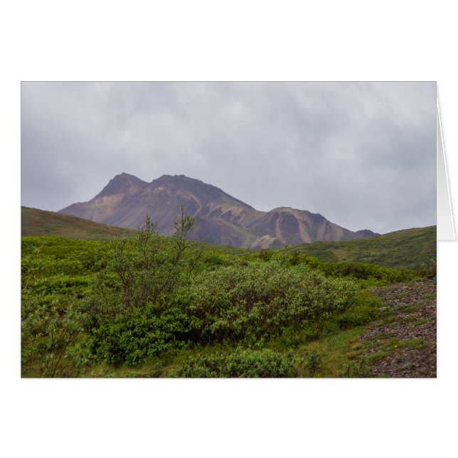 Beauté Tourbillonnante à Denali (Devant Horizontal)