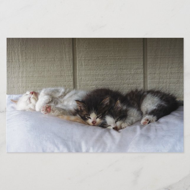 Beautés dormantes (Devant)