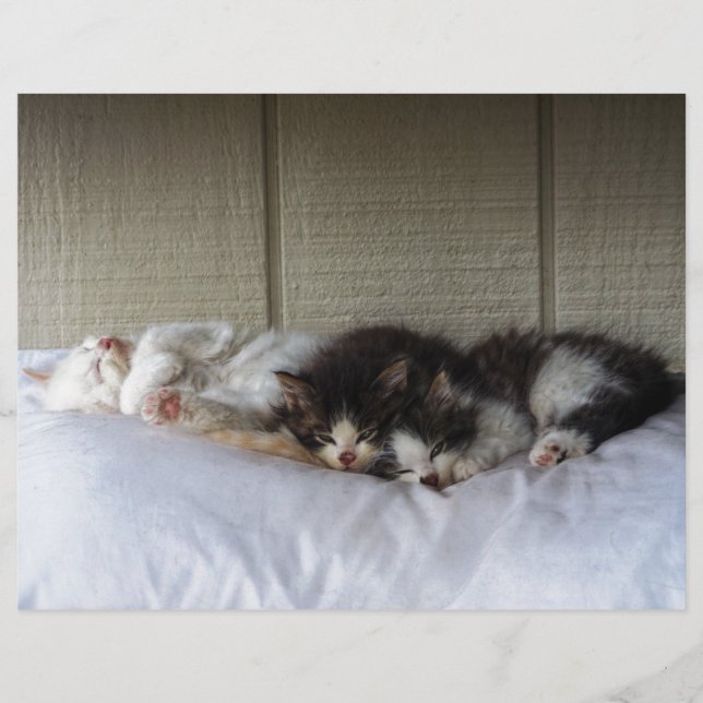 Beautés dormantes (Devant)