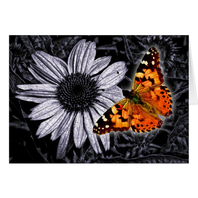 Beautifly (Devant horizontal)