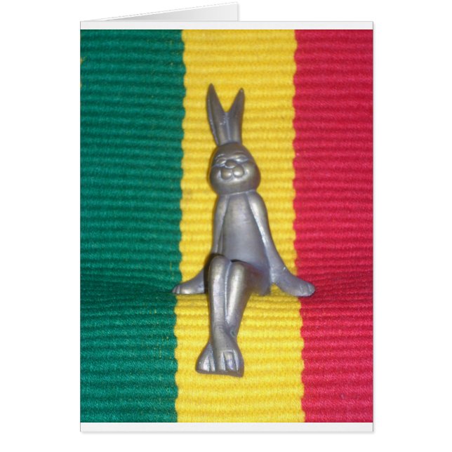 Beautiful amazing Rabbit Kingston (Devant)