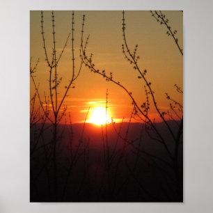 Beautiful Nature Sunset Poster Imprimer l'image