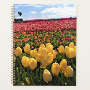 Beautiful Tulip Field avec Hot Air Balloon, Oregon