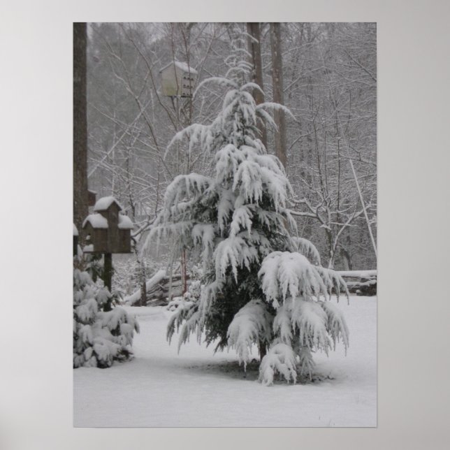 Beautiful Winter Scene Poster (Devant)