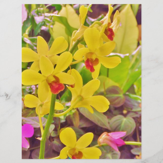 Beautiful Yellow autumn (Devant)