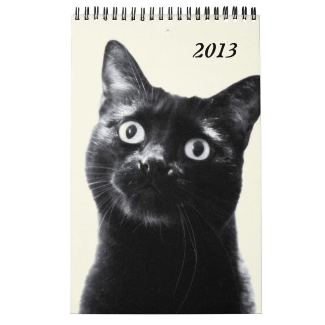 beaux animaux - calendrier (d'une seule page) (Protection)