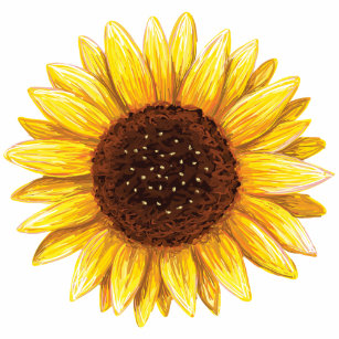Cadeaux Dessin De Tournesol Zazzle Fr