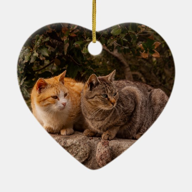 Beaux Chats, Ornement (Dos)