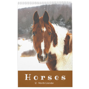 Beaux Chevaux Calendrier Cheval 12 Mois