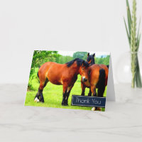 Beaux chevaux de trait bai dans un pré Merci