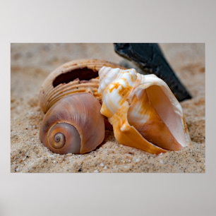 Beaux de plage cassées #2 Poster