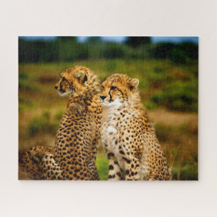 Beaux frères Cheetah, Puzzle Jigsaw