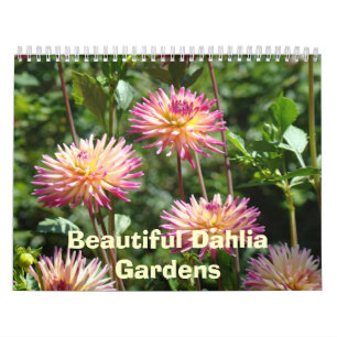 Beaux Jardins de Dahlia Calendriers Photos florale