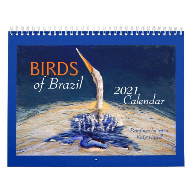 Beaux "OISEAUX du Brésil" Calendrier 2021 (Protection)