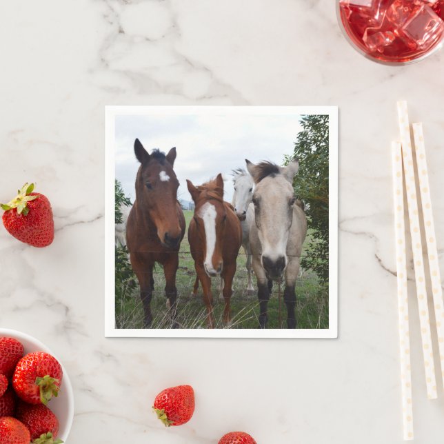 Beaux problèmes de cheval, serviettes en papier (En situation)