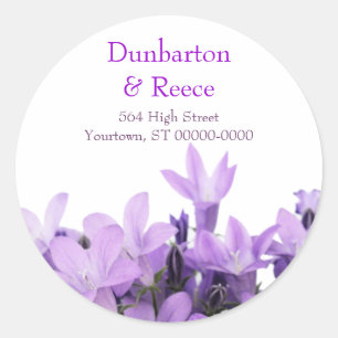 Beaux Stickers Violets