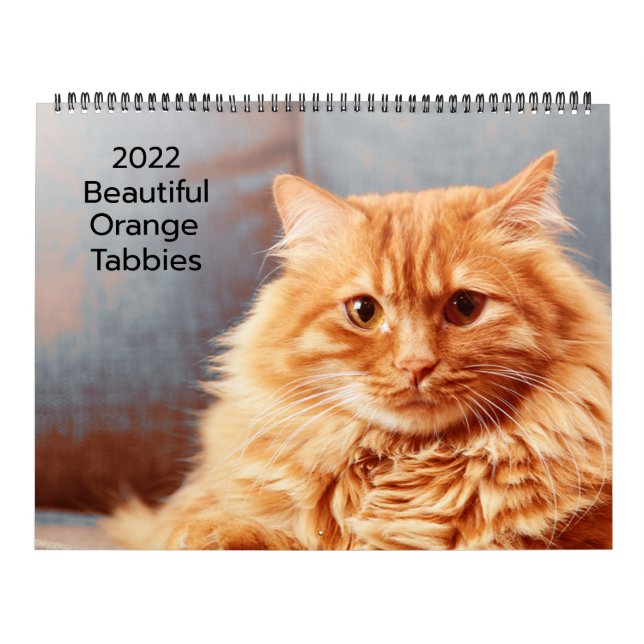Beaux Tabby Orange 2022 Calendrier (Protection)
