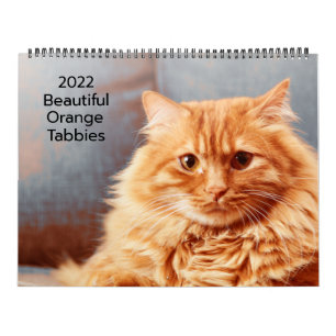Beaux Tabby Orange 2022 Calendrier