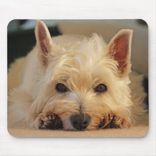 Beaux tapis de souris de chien de Westie/tapis de (Devant)