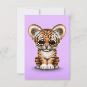 Bébé adorable Tiger Cub sur pourpre