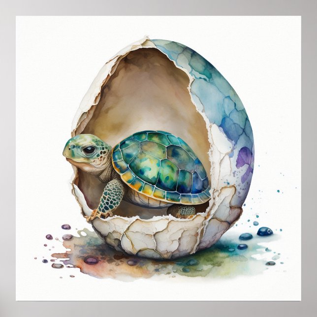 Bébé animal pour la nurserie, Affiche de tortue mi (Devant)