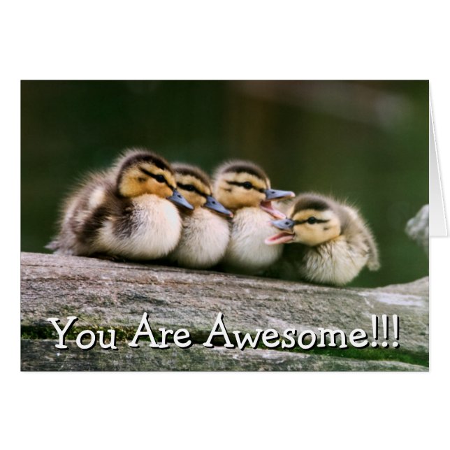 Bébé Canards (Devant horizontal)