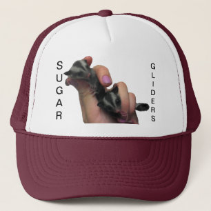 Bébé Casquette Sugar Gliders