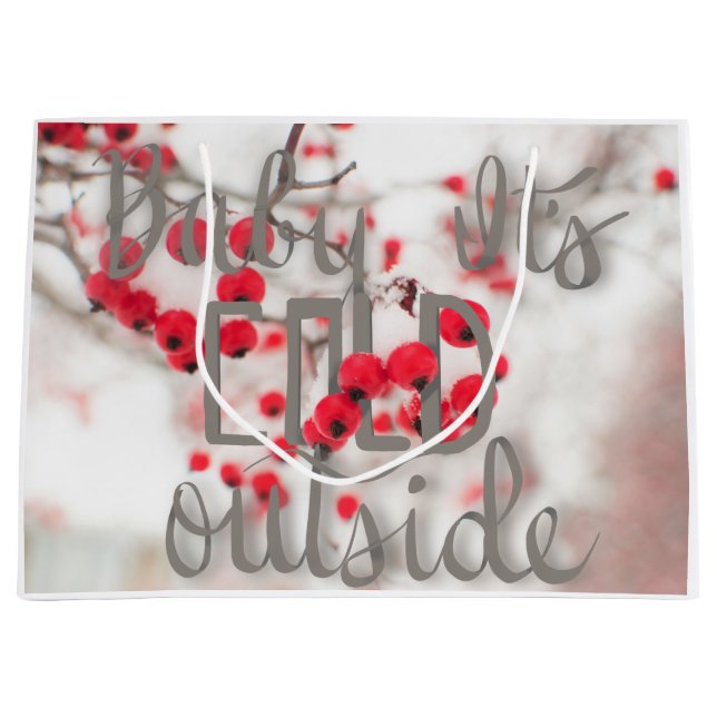 Bébé c'est sac extérieur froid de cadeau (Devant)