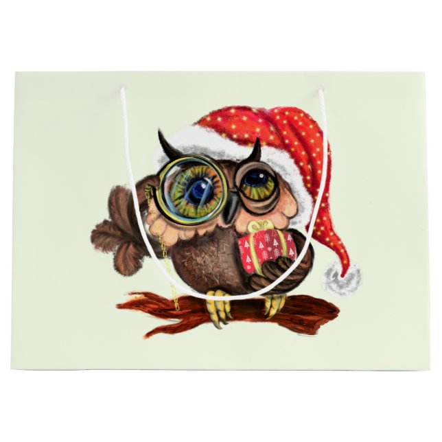 Bébé Chouette En Sac Cadeau Casquette de Noël (Devant)