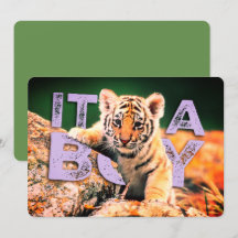 Bébé de Nick David - invitation de douche de tigre