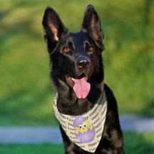 Bébé d'éclosion poussin