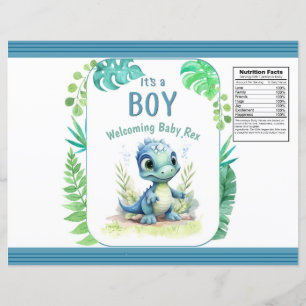 Bébé Dinosaure Vert et Bleu Chip Sac