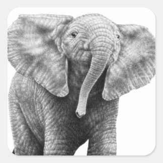 Bébé Eléphant Africain Sticker