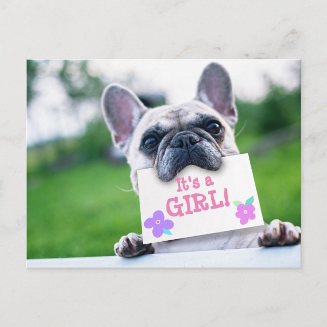 Bébé fille Faire-part avec chien personnalisé (Devant)