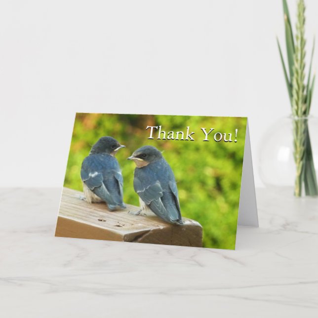 Bébé Grange hirondelle Merci naturel (Devant)